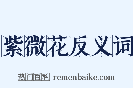 紫微花反义词是什么意思的图片